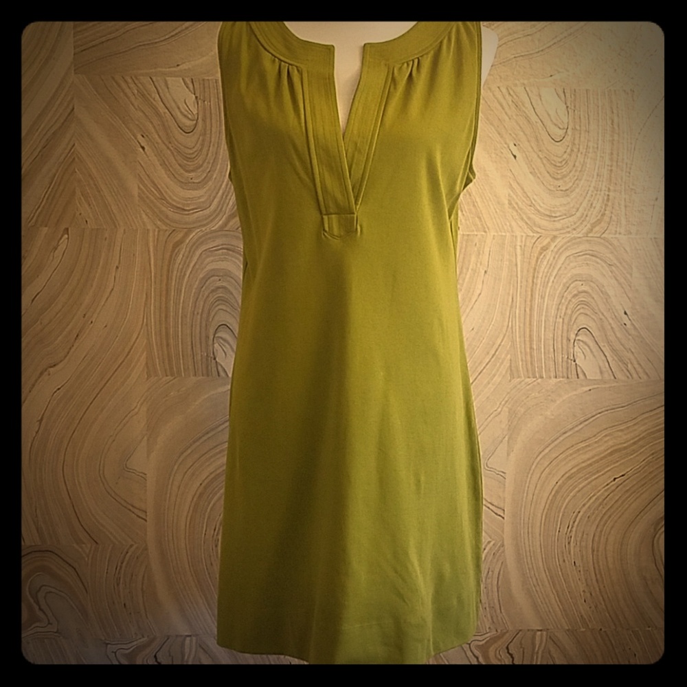 New York & Company Olive Dress